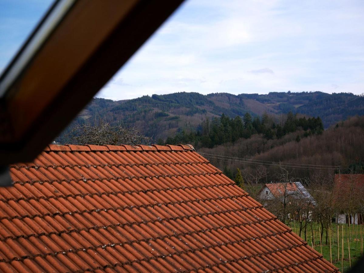 Ferienwohnung Obere Alm Oberkirch Kültér fotó