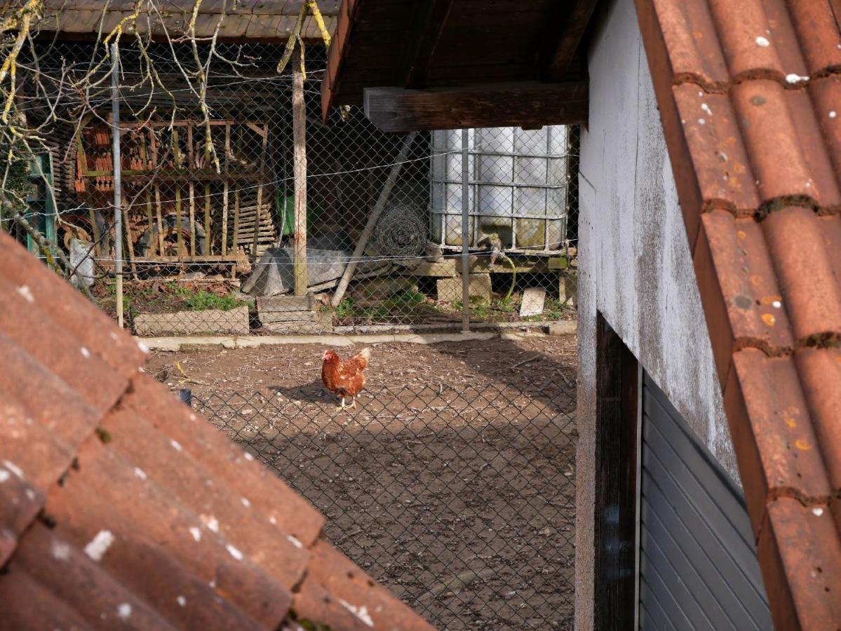 Ferienwohnung Obere Alm Oberkirch Kültér fotó